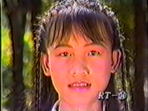         【販売前のテスト版】妖精の美少女AKI
    