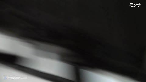         新年一作目　美脚揃い　【美しい日本の未来219】
    