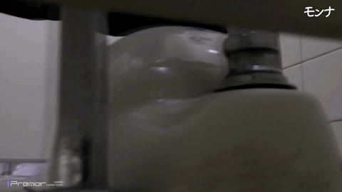         【美しい日本の未来 No.181】JKシリーズ　11　美少女
    