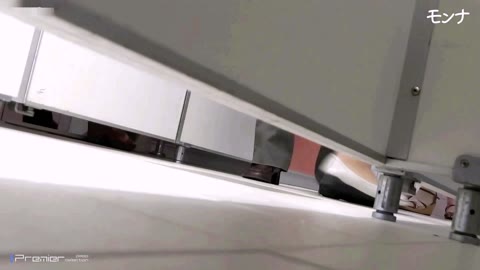         【美しい日本の未来 No.182】年末大サービス　若いピンクサーモン
    