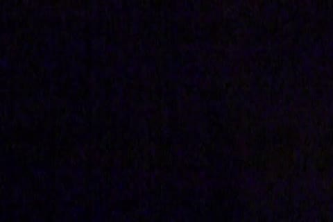         無)　便槽内からの超迫力リアル映像
    