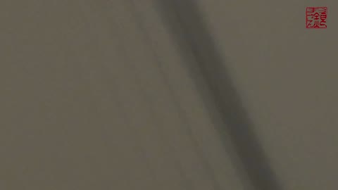         年末特別企画　異次元【洗面所突入レポート 116】
    