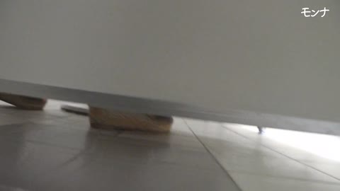         令和３　悶絶２　さらにやばい！たまらん蠢き！【令和 美しい日本の未来 Vol.030】
    