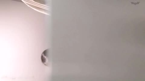         【【化粧室絵巻　ショッピングモール編】】化粧室絵巻　ショッピングモール編　VOL.20
    