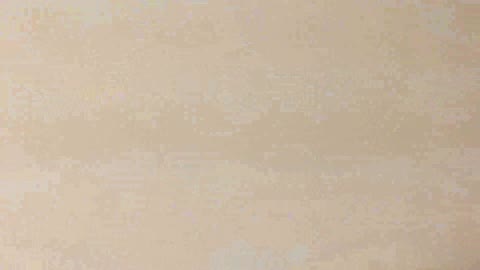         和式・洋式いいとこ撮り！　Vol.01
    