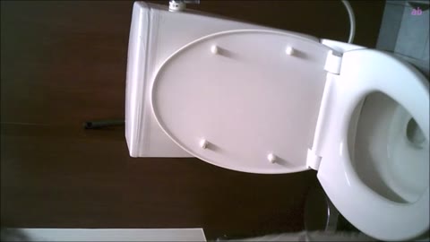         女子トイレ盗撮(301）中腰だとジャングルの中の具まで見える貴女サービスしすぎ清楚は正義姫様全１４名
    