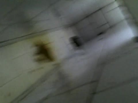         公衆便所で下痢してるお姉さん
    