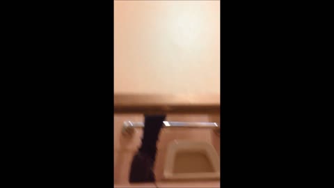         K達のトイレ盗撮①
    