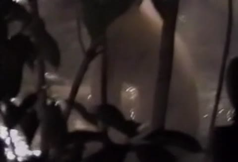         新女風呂 湯煙乙女 5
    