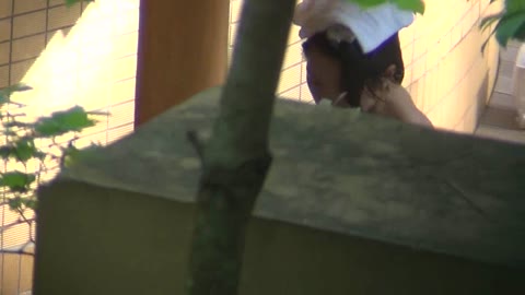         Peeping-eyes bath TO-4468
    