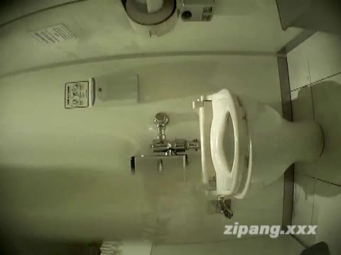         Peeping-eyes toilet TO-4527
    