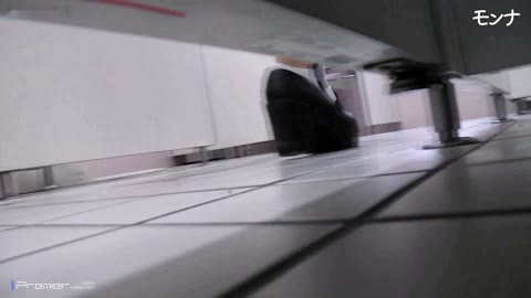         【美しい日本の未来 No.178】淑女シリーズ　７　可愛い彼女達・・・
    