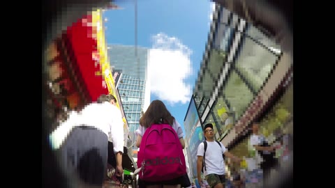         digi-tents pcolle mimic007j
    