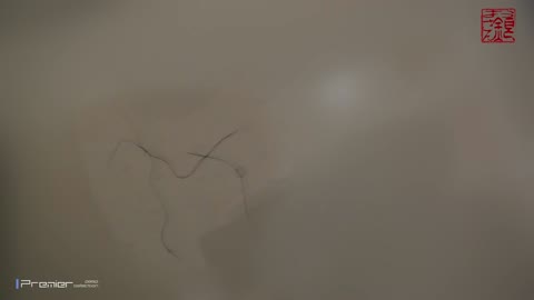         【洗面所突入レポート　108】ビラビラを広げてから用を足す女子
    