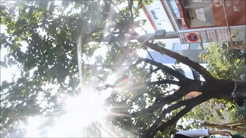         ミニスカＪＫむちむち3
    