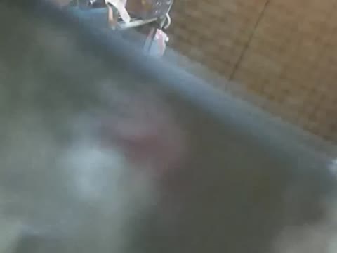         姉妹風呂盗撮【妹】vol.0
    