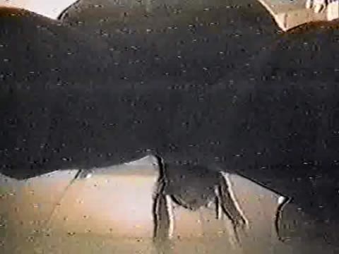         直下型爆撃放●③
    