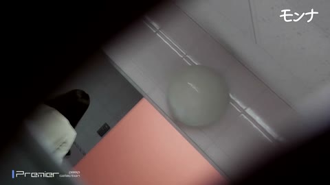         見た目が清楚ですが下痢です。【美しい日本の未来 No.133】
    