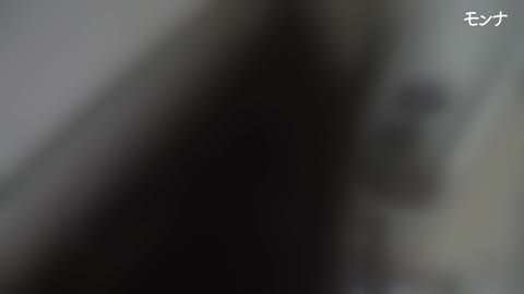         あまりにも美しい性器に感激　【令和 美しい日本の未来 Vol.028】
    