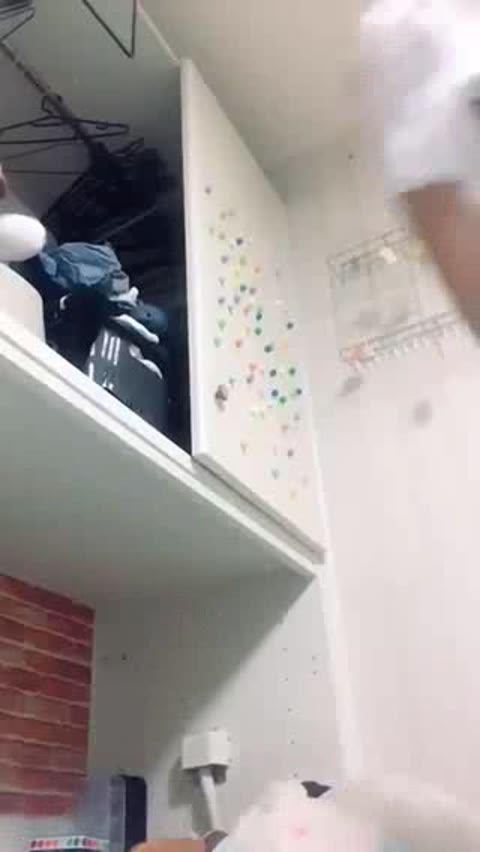         美Sのライブ6【サンプル】有
    