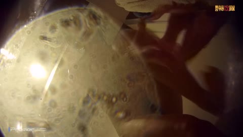         幻 プール編No.026 二人組会話しながら特攻隊の目の前でパンティを下ろす ナイトプール盗撮
    