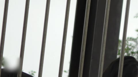         N高のパンチラ階段にいる怪しい男・・・
    