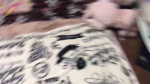         騙し無しの最新作！
    