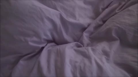         祝日スペシャル企画★SC級★高画質無修正レア動画放出！
    