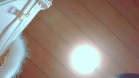         限定セール　世界の裏 セット
    