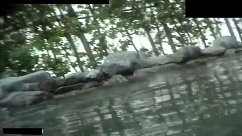         美人のお姉さん盗撮特集
    