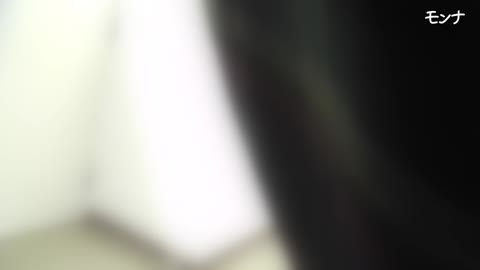         新年特別企画　異常な気合いで美女狩り　【令和 美しい日本の未来 Vol.023】
    