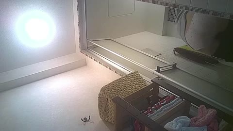         遊びに来た妹のシャワオナ盗撮したった
    