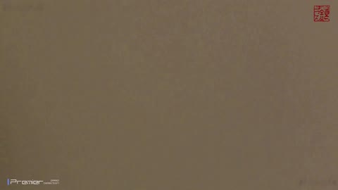         【新】お銀　清楚淑女集合　【お銀さんの「洗面所突入レポート！！」94】
    