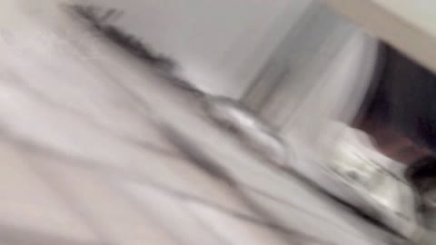         Nozokinakamuraya pethai021_00
    