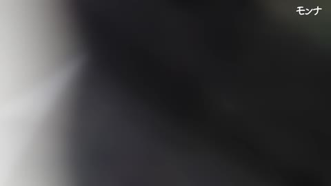         膜まで見える第2弾【令和 美しい日本の未来 Vol.013】
    