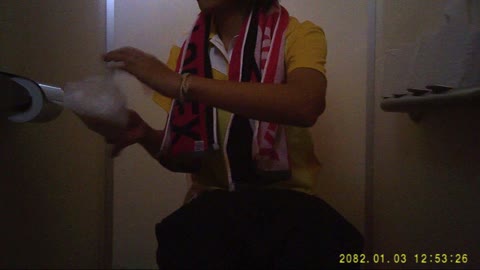         テニスクラブ！トイレ盗撮 Vol.17
    