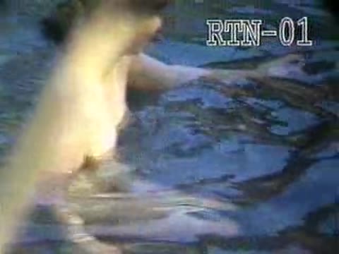         盗撮美人秘湯 激 潜入露天 壱番湯
    