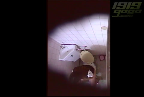         1919gogo 秘蔵蔵出し洋式便所盗撮 6
    