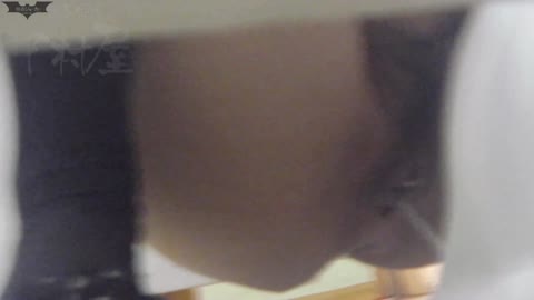         マ○コ丸見え！第三体育館潜入撮File007 唖然！！前人未到の追跡
    