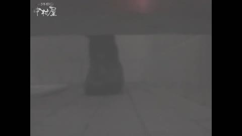         女子トイレ盗撮若い嬢編vol.13
    