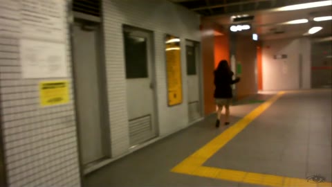         ★無 ★ 2名 HD 地下鉄追跡美女便所放尿 7
    