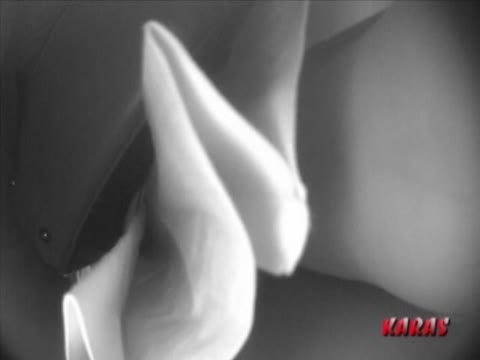         龍虎　KARAS オリジナル盗撮 Vol.4
    