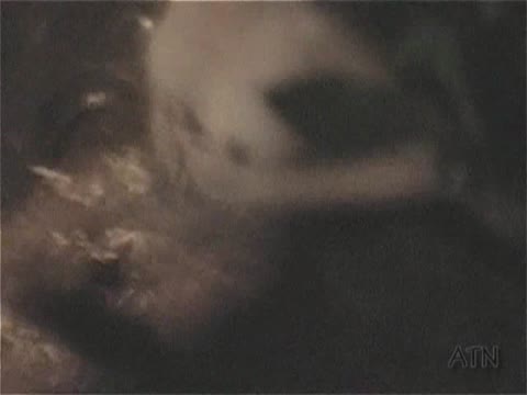         エロリストさんのエロ・ゲリラ戦線 Vol.9
    