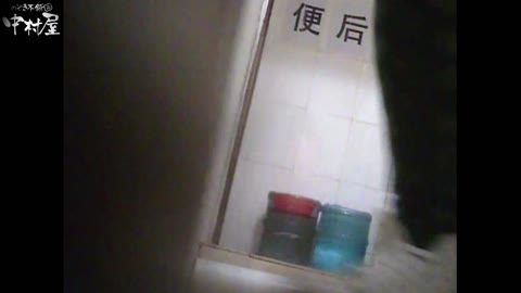         李さんの盗撮日記 Vol.04
    