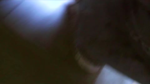         【阿国ちゃんの和式洋式七変化】阿国ちゃんの「和式洋式七変化」No.1
    