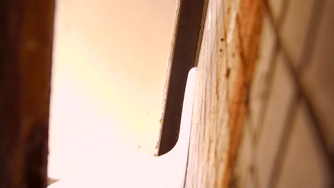         個別指導学習塾和式便所 Vol.10 VIP動画
    