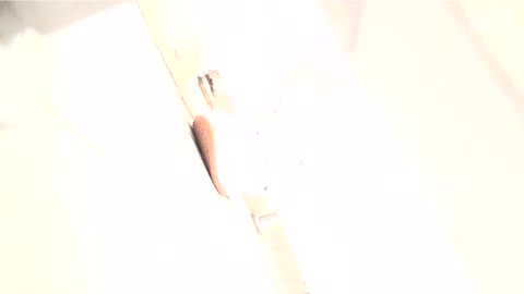         ナースのお小水 vol.003
    