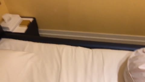         生が大好き☆かわゆい彼女とのSEXハメ撮り詰め合わせ☆潮吹きまくり彼女,,,他5作品
    