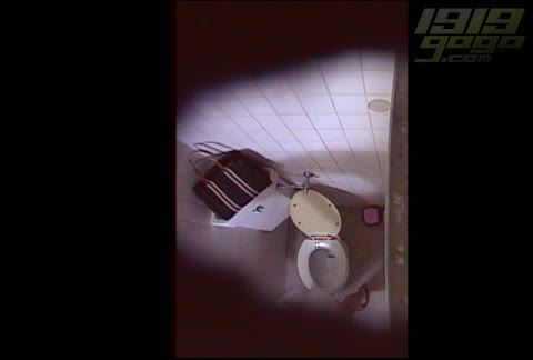         1919gogo 秘蔵蔵出し洋式便所盗撮 2
    