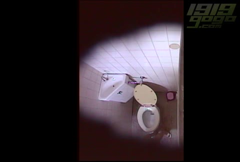         1919gogo 秘蔵蔵出し洋式便所盗撮 7
    